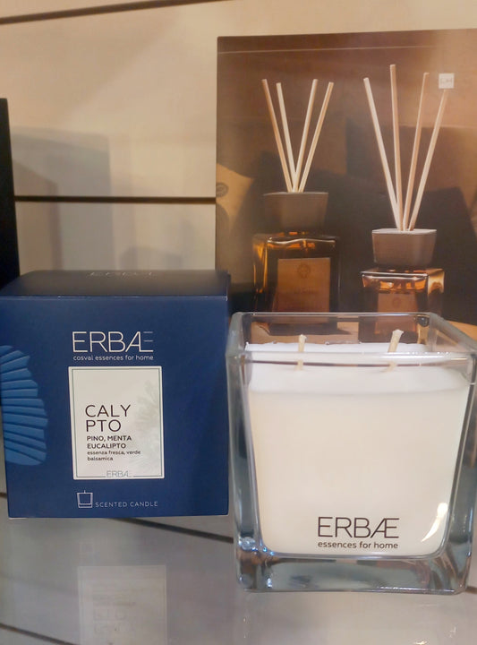ERBAL Calypto candela profumata 210g